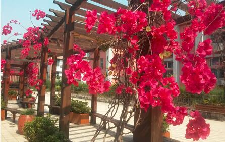 2009年7月，金牛区教育局为了整合教育资源