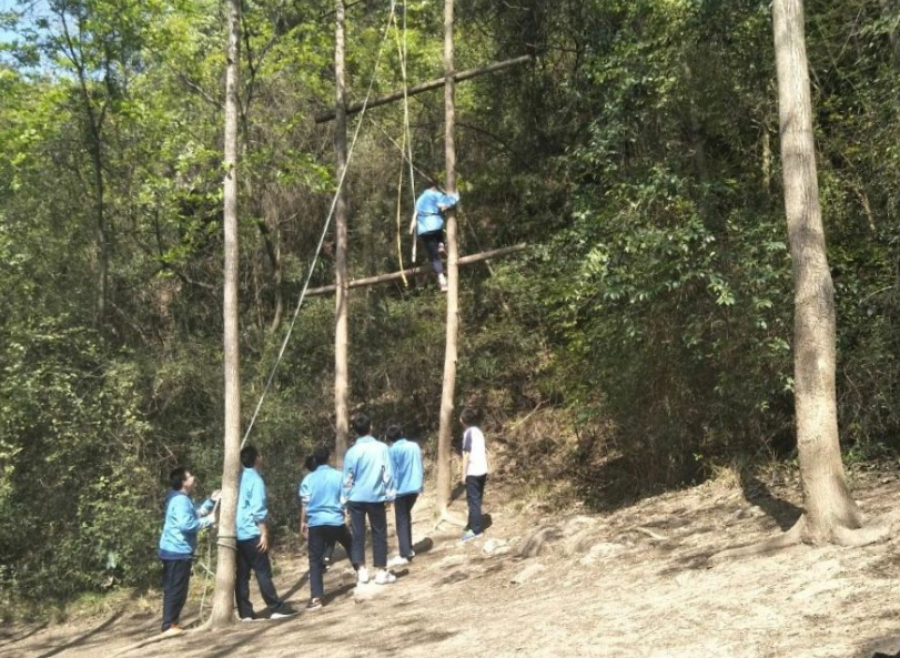 春光无限好，实践收获多——记我校初中社会实践