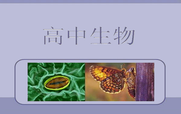教学案例——高中生物的趣味教学