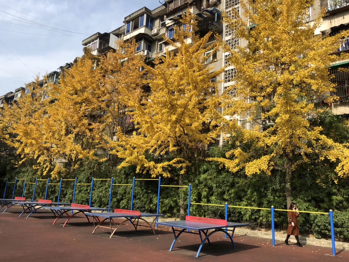 关爱明天 警校联手